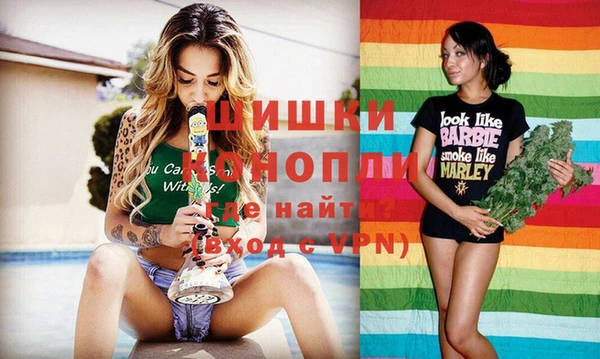 твердый Новодвинск