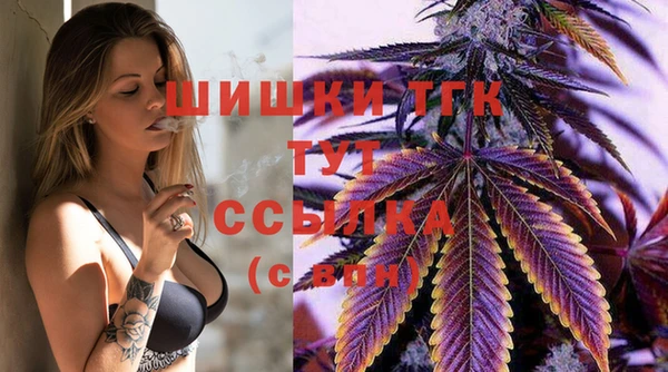 СК Алзамай