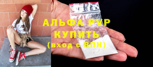 твердый Новозыбков