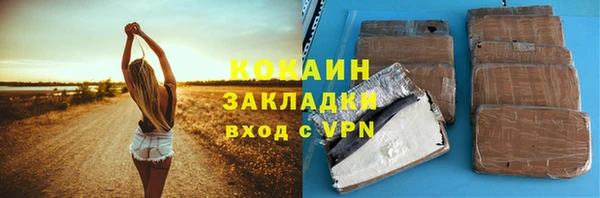 твердый Новодвинск
