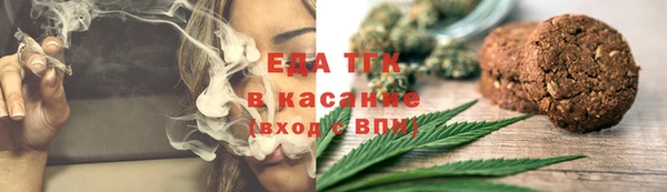 твердый Новозыбков