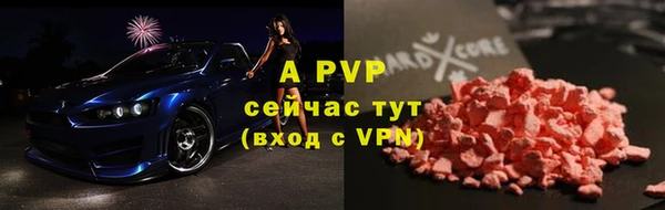 стаф Алексин