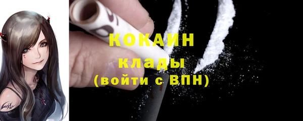 твердый Новозыбков