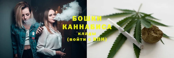 твердый Новодвинск