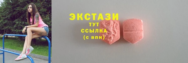 твердый Новодвинск