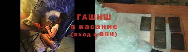 гидра Няндома