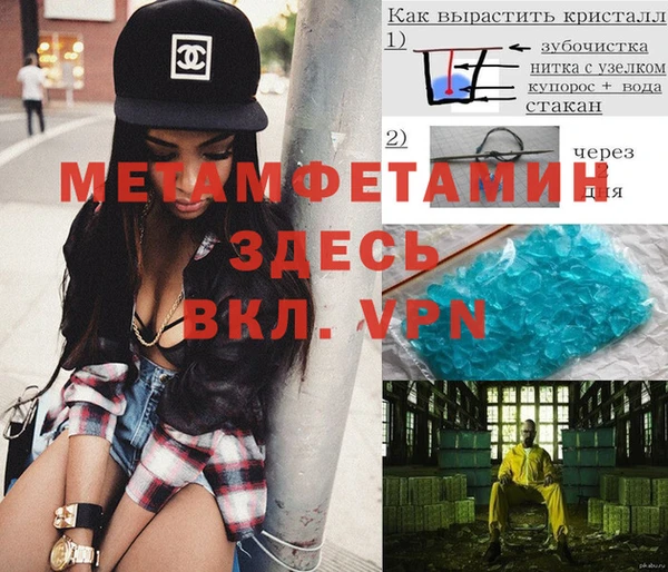 стаф Алексин