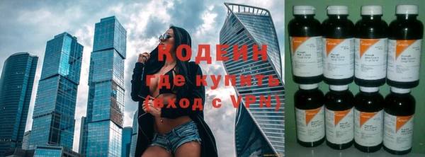 твердый Новозыбков
