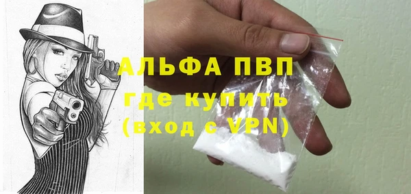 стаф Алексин