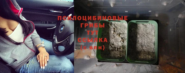 СК Нязепетровск
