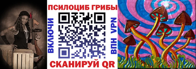 Псилоцибиновые грибы Cubensis  Лагань 